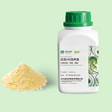 植物培養(yǎng)基定制