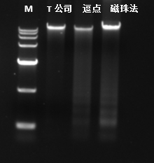 磁珠法試劑盒