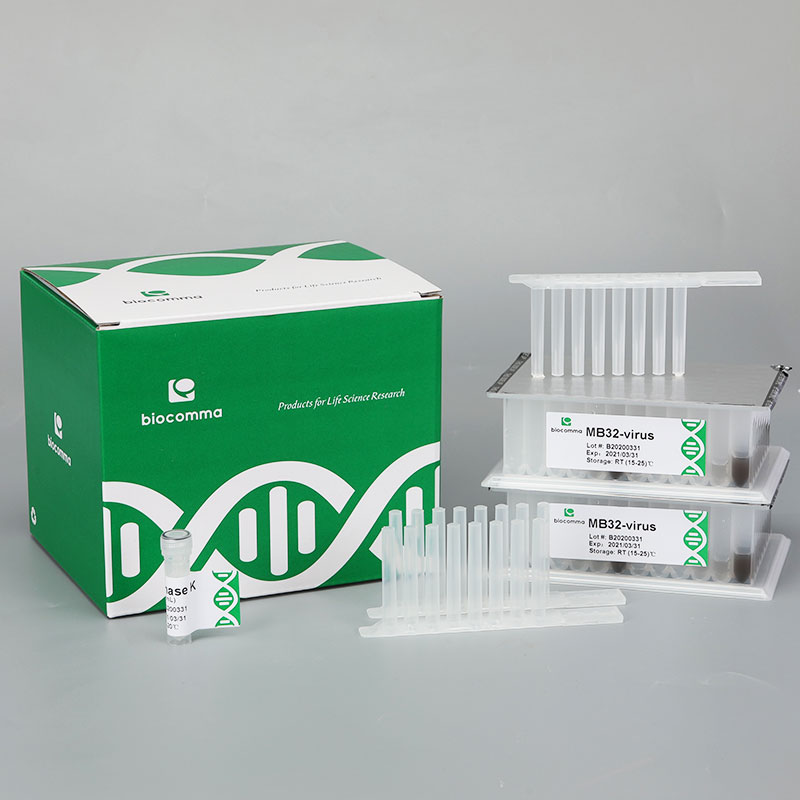 新冠病毒核酸提取扎筒、RNA提取 病毒 DNA/RNA 提取試劑盒(預(yù)分裝磁珠法)