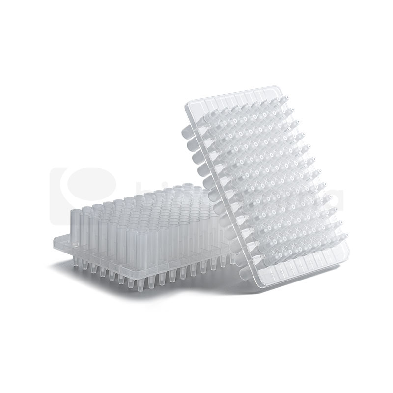 f_e5be3d88e572d711bfb0daf3335b630d CPG Frits高通量合成板