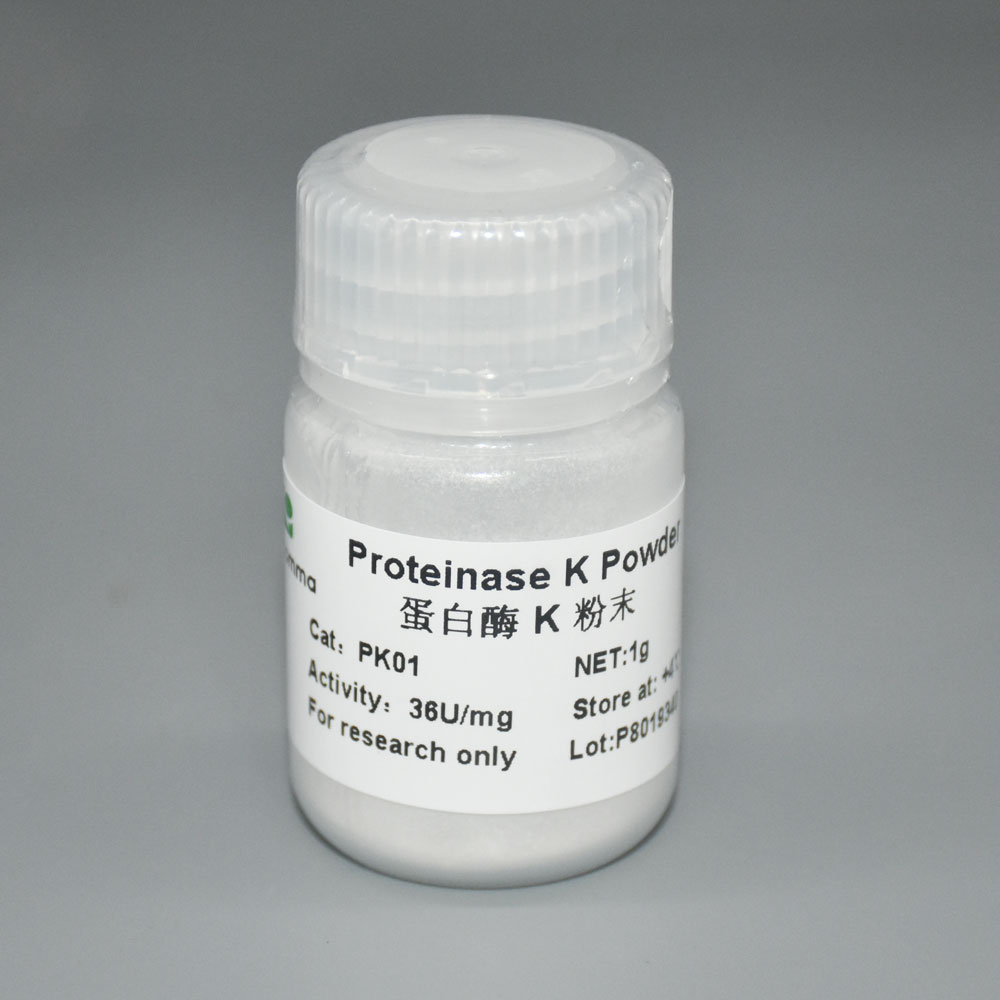 f_bb01ca566d110fee6d18a3a8112d7a4e 蛋白酶 K